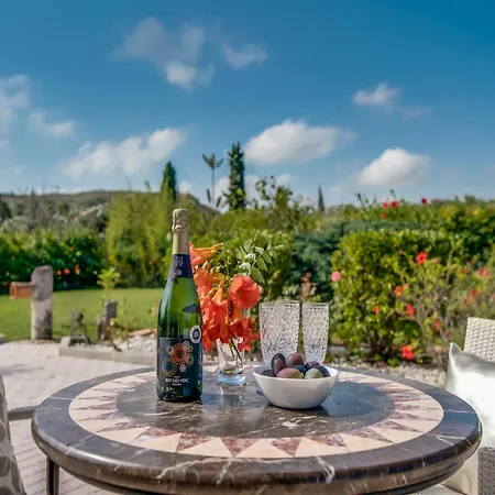 Tatil Evi 10-person In